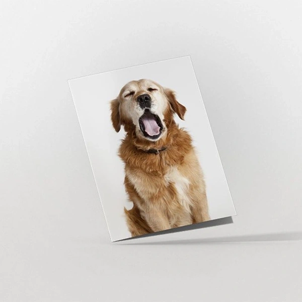 Matt Laminated Greeting Cards